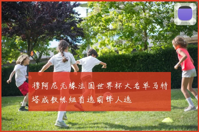 穆阿尼无缘法国世界杯大名单马特塔成教练组首选前锋人选